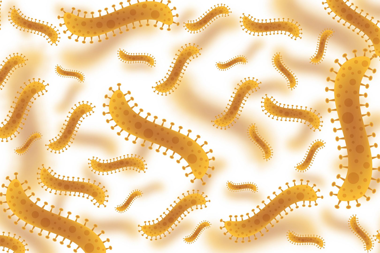Are You Infected With Intestinal Parasites
