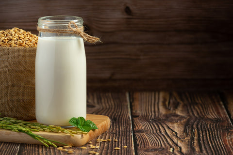 Probiotics for Lactose Intolerance