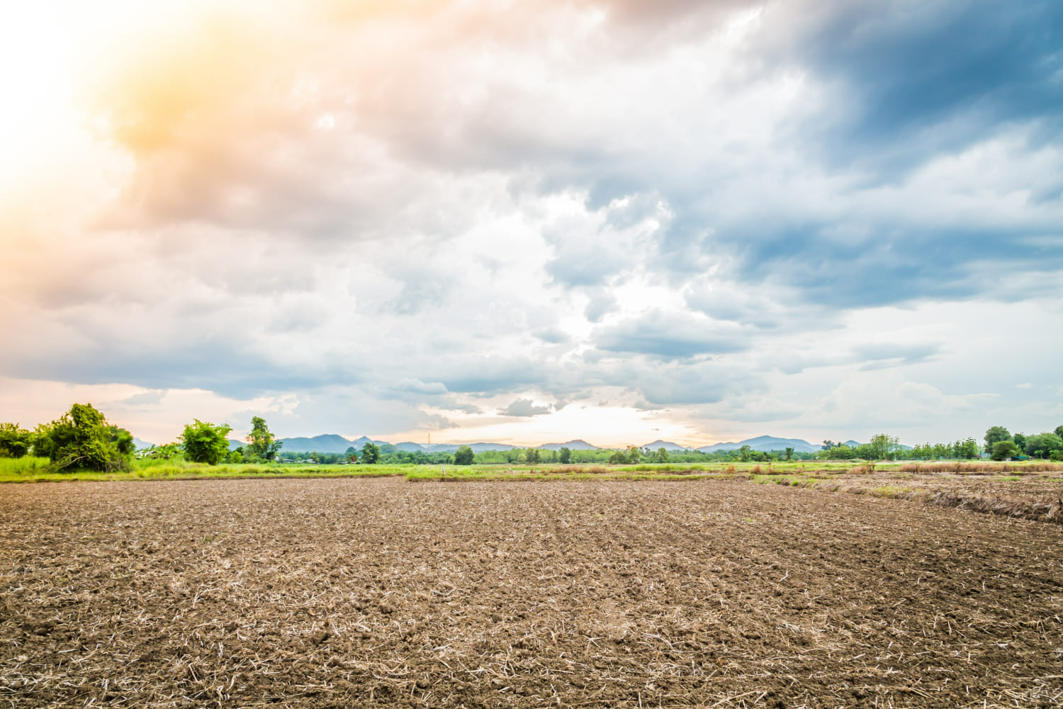 Soil Depletion and The Need Of Nutritional Supplements