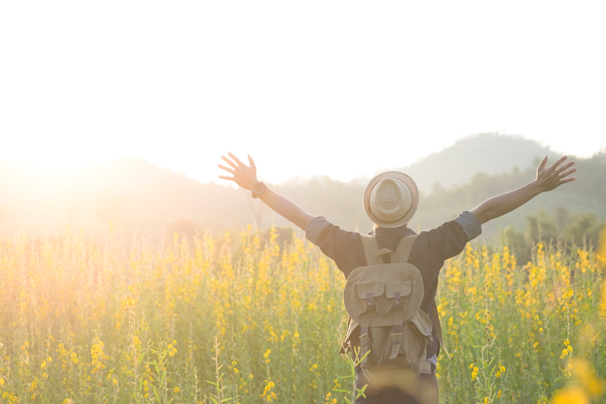 Antioxidant Which Makes Difference Between Life and Death