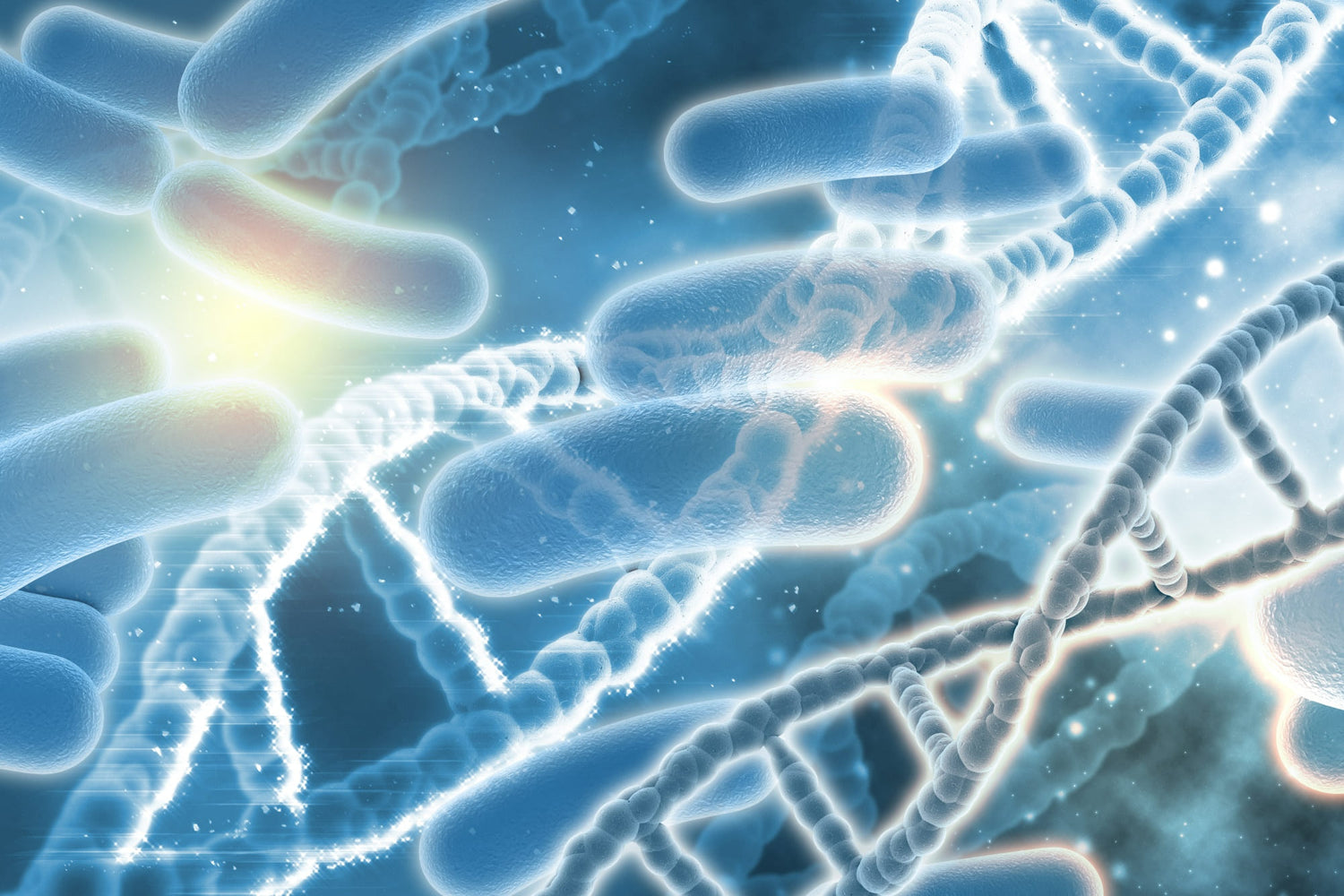 Candida Overgrowth, Candidiasis, Thrush, Yeast Infection, Fungal Infections