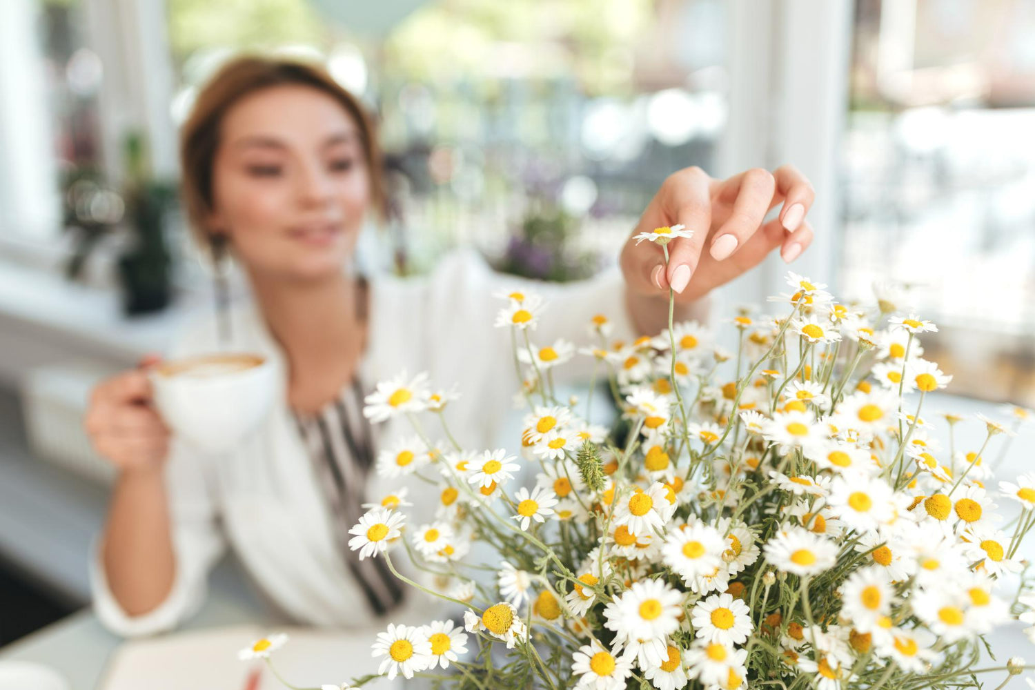 Health Benefits of Chamomile
