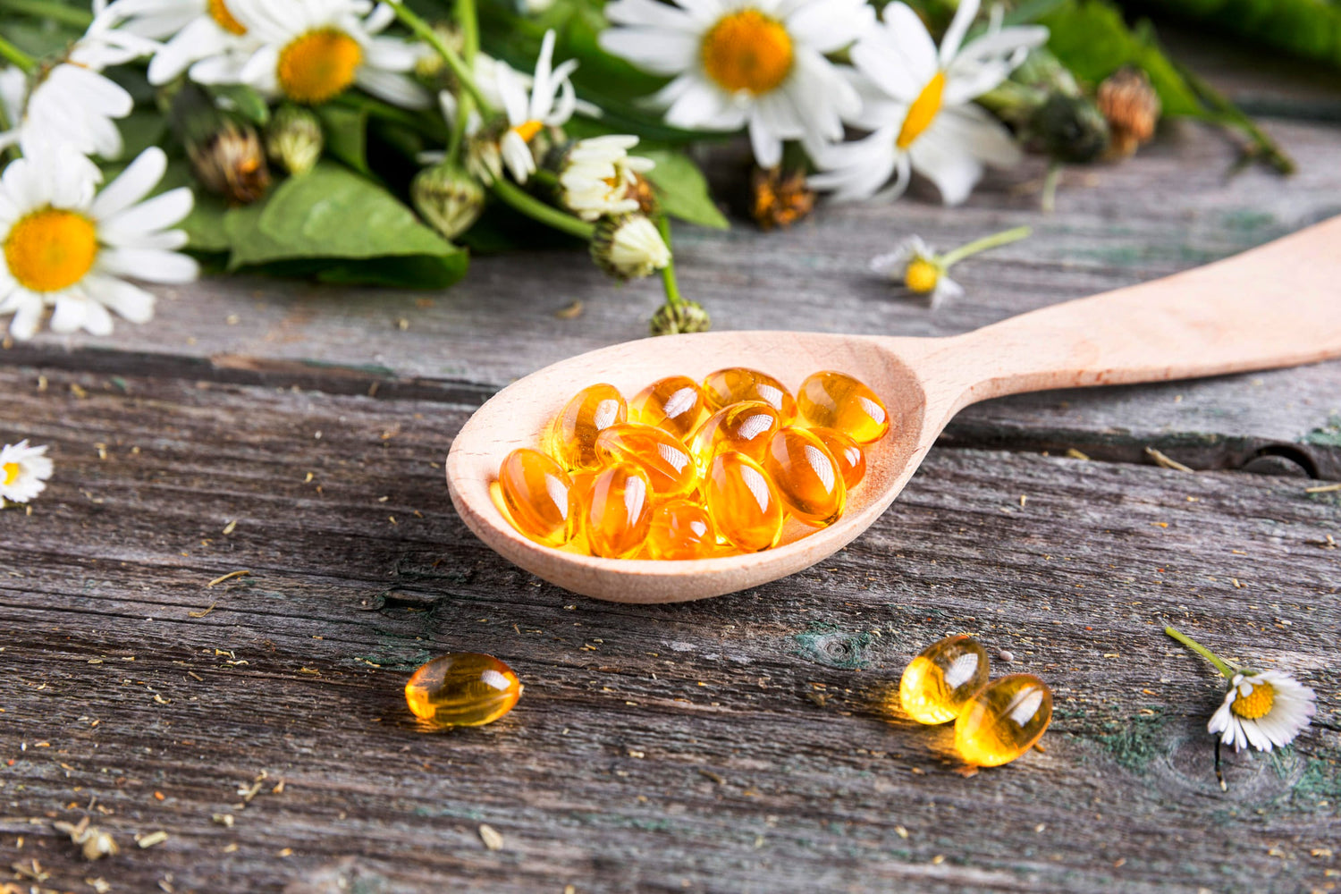 Everything You Need to Know About Vitamin E