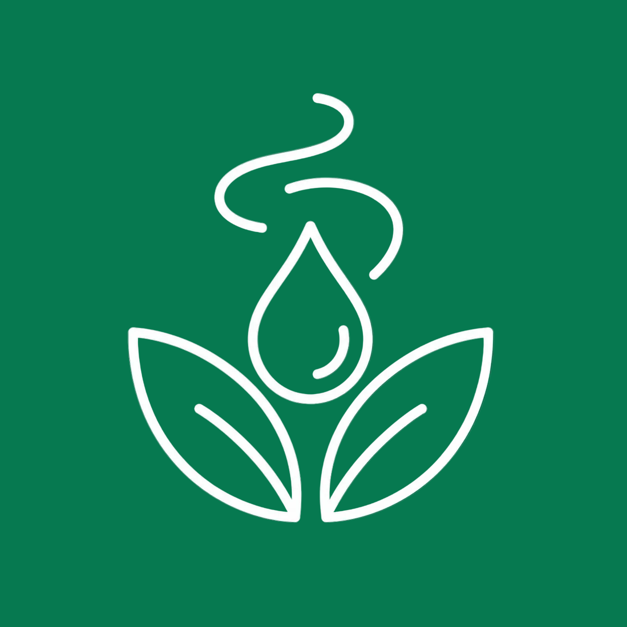 Aromatherapy pure essential oils and therapeutic blends for relaxation