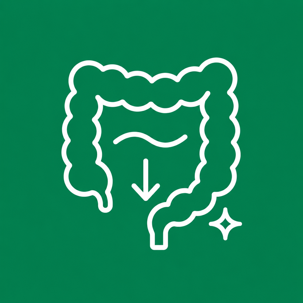 Constipation Relief with fibre blends, herbal laxatives, and digestive support