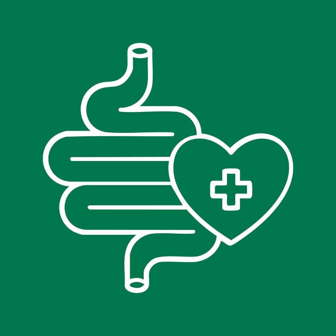 Digestive & Gut Health