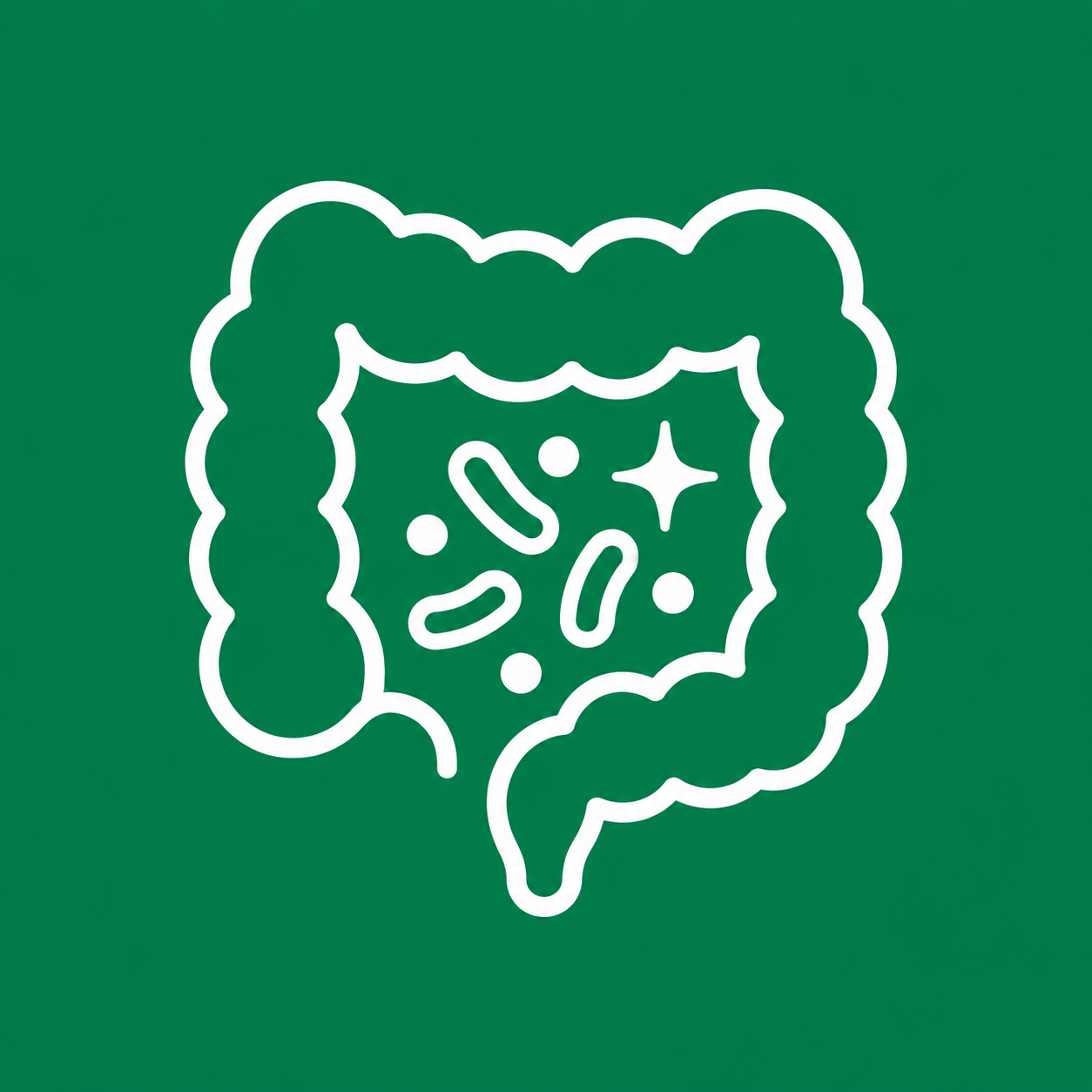 Probiotics multi-strain supplements for healthy gut bacteria and immunity